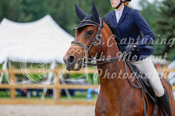 2025 - Haylee - Picco Horse Show - Saturday July 26th 04654