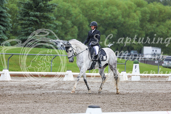 2025 - Dressage Festival - Sunday July 6th - 03865