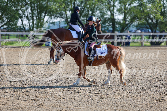 2025 - Dressage Festival - Saturday July 5th - 00038