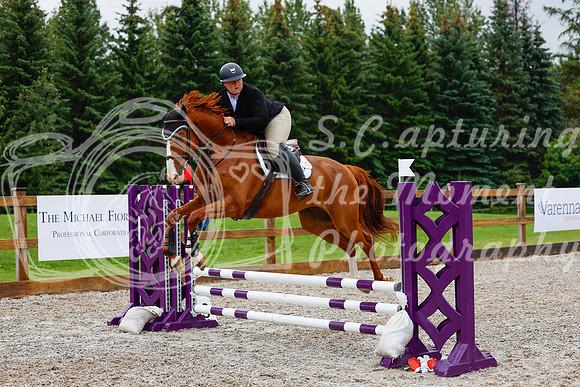 2025 - Haylee - Picco Horse Show - Sunday July 27th 01520