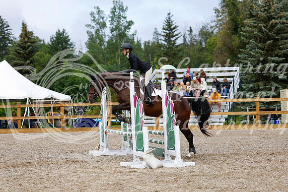 2025 - Haylee - Picco Horse Show - Sunday July 27th 02087