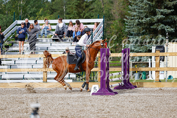 2025 - Haylee - Picco Horse Show - Friay July 25th 00904