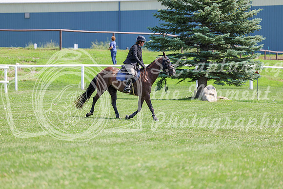 2025 - Shea - Teesdale - Thursday July 24th - 00899
