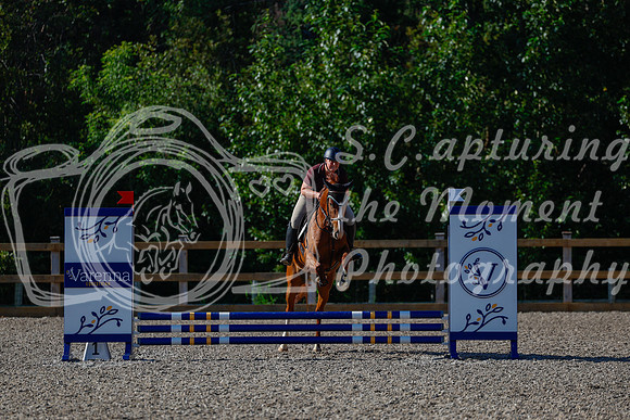 2025 - Haylee - Picco Horse Show - Thursday July 24th 00102