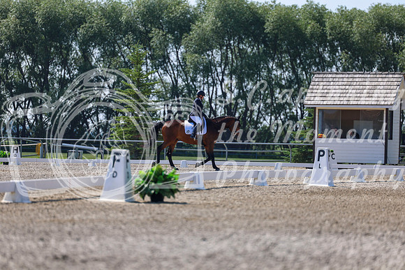 2025 - Dressage Festival - Saturday July 5th - 02368