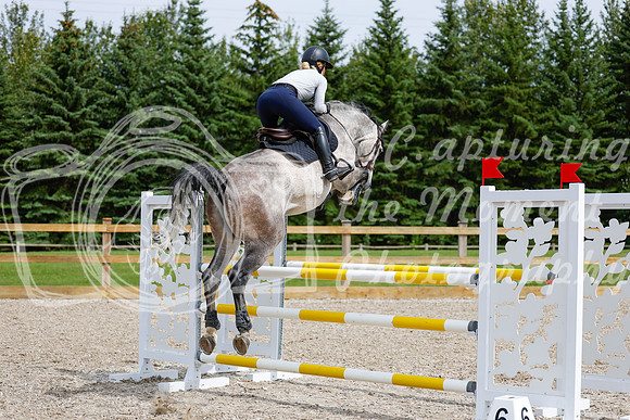 2025 - Haylee - Picco Horse Show - Friay July 25th 04404
