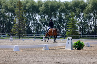 2025 - Dressage Festival - Saturday July 5th - 02352