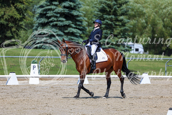 2025 - Dressage Festival - Saturday July 5th - 05650