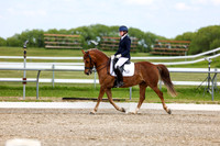 2025 - Dressage Festival - Saturday July 5th - 11828