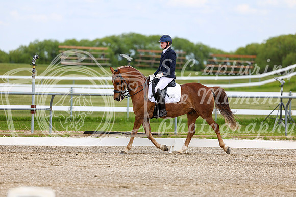 2025 - Dressage Festival - Saturday July 5th - 11828
