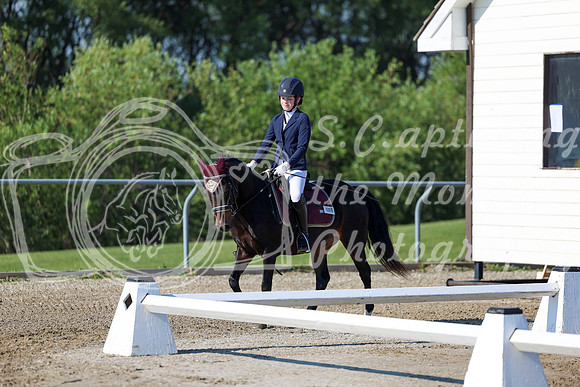 2025 - Dressage Festival - Saturday July 5th - 00653