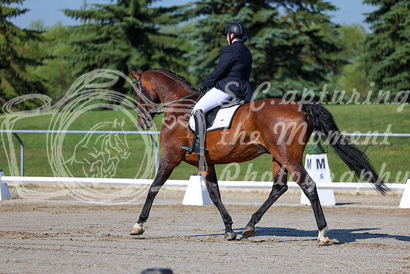 2025 - Dressage Festival - Saturday July 5th - 01058