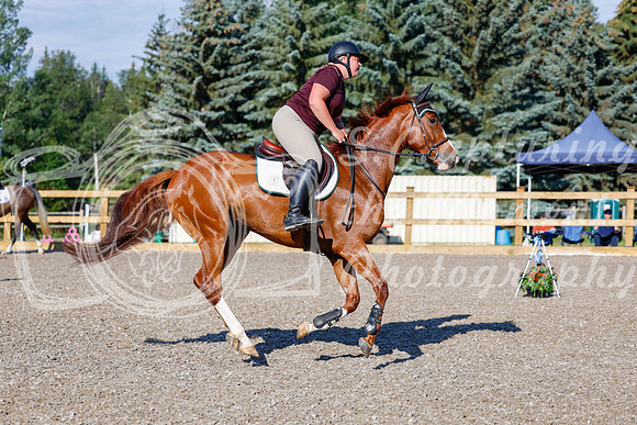 2025 - Haylee - Picco Horse Show - Thursday July 24th 00246