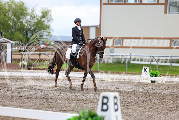 2025 - Dressage Festival - Sunday July 6th - 09571