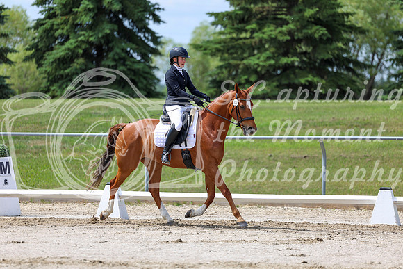 2025 - Dressage Festival - Saturday July 5th - 07870