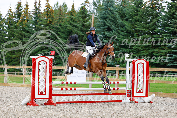 2025 - Haylee - Picco Horse Show - Saturday July 26th 05532