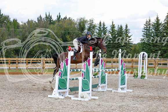 2025 - Haylee - Picco Horse Show - Saturday July 26th 07594