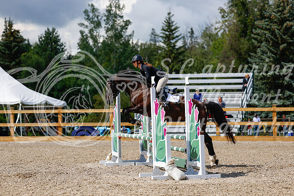 2025 - Haylee - Picco Horse Show - Sunday July 27th 03079