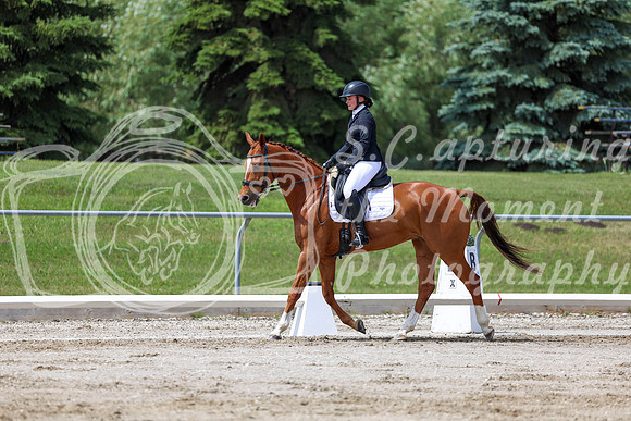 2025 - Dressage Festival - Saturday July 5th - 07986