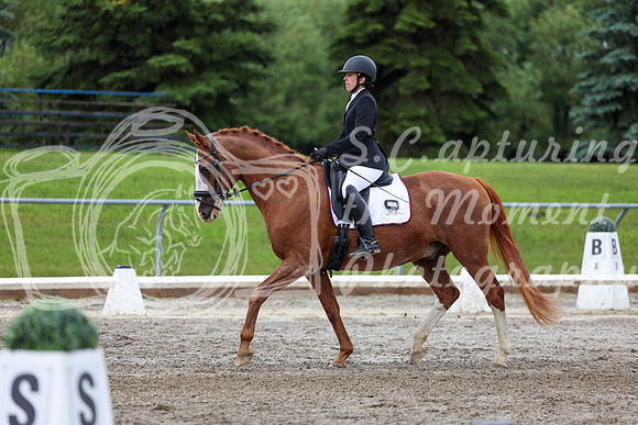 2025 - Dressage Festival - Sunday July 6th - 10409