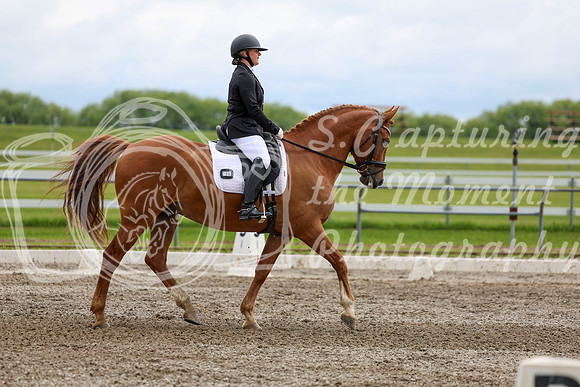 2025 - Dressage Festival - Sunday July 6th - 11099
