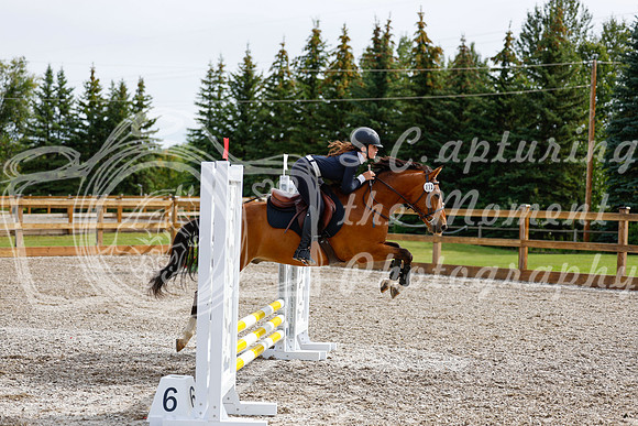 2025 - Haylee - Picco Horse Show - Friay July 25th 00667