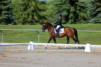 2025 - Dressage Festival - Saturday July 5th - 00416