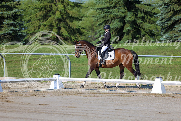 2025 - Dressage Festival - Saturday July 5th - 00416