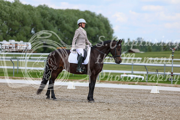 2025 - Dressage Festival - Saturday July 5th - 10671
