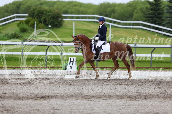 2025 - Dressage Festival - Sunday July 6th - 07641