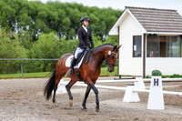 2025 - Dressage Festival - Sunday July 6th - 00819