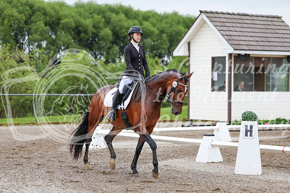2025 - Dressage Festival - Sunday July 6th - 00819