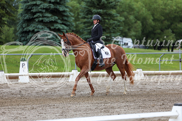 2025 - Dressage Festival - Sunday July 6th - 10395