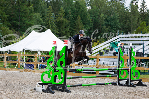 2025 - Haylee - Picco Horse Show - Sunday July 27th 03529