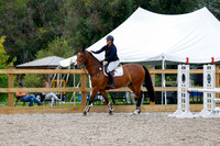 2025 - Haylee - Picco Horse Show - Saturday July 26th 05516
