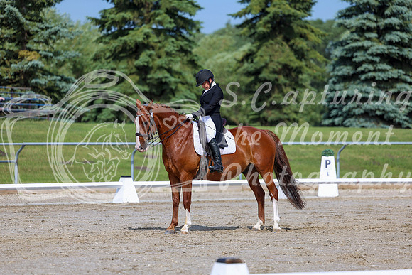2025 - Dressage Festival - Saturday July 5th - 02609
