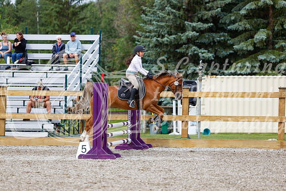 2025 - Haylee - Picco Horse Show - Friay July 25th 01324
