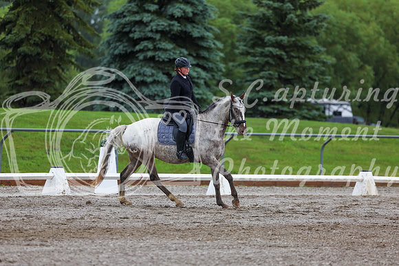 2025 - Dressage Festival - Sunday July 6th - 02293