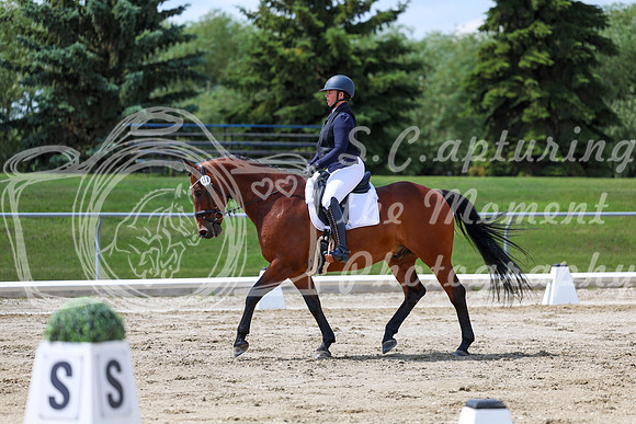 2025 - Dressage Festival - Saturday July 5th - 09729