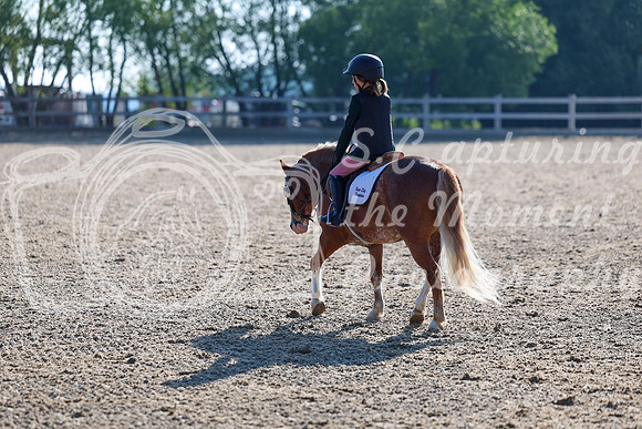 2025 - Dressage Festival - Saturday July 5th - 00026