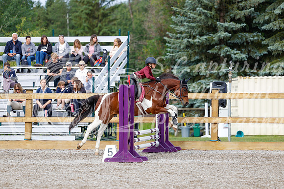 2025 - Haylee - Picco Horse Show - Friay July 25th 00582