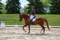 2025 - Dressage Festival - Saturday July 5th - 14156