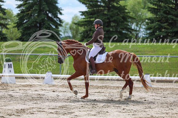 2025 - Dressage Festival - Saturday July 5th - 14156