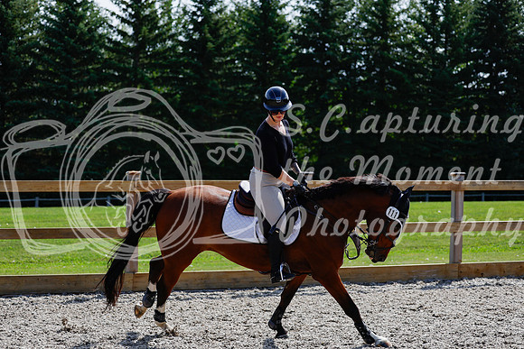 2025 - Haylee - Picco Horse Show - Thursday July 24th 02259