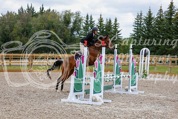 2025 - Haylee - Picco Horse Show - Saturday July 26th 04414