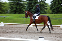 2025 - Dressage Festival - Sunday July 6th - 07816