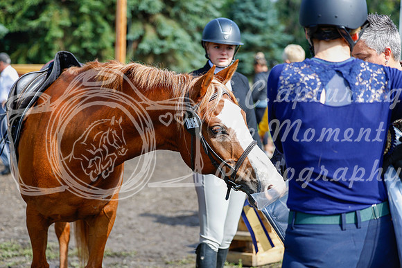 2025 - Haylee - Picco Horse Show - Sunday July 27th 02393