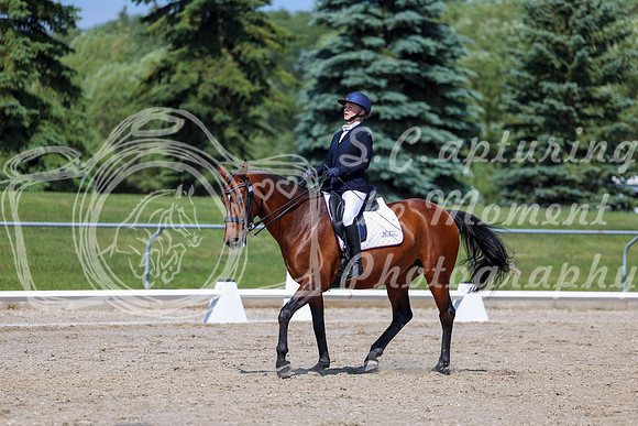 2025 - Dressage Festival - Saturday July 5th - 05652