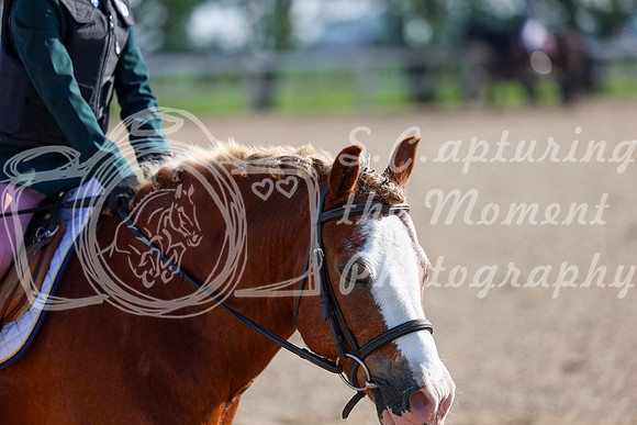 2025 - Dressage Festival - Saturday July 5th - 00017