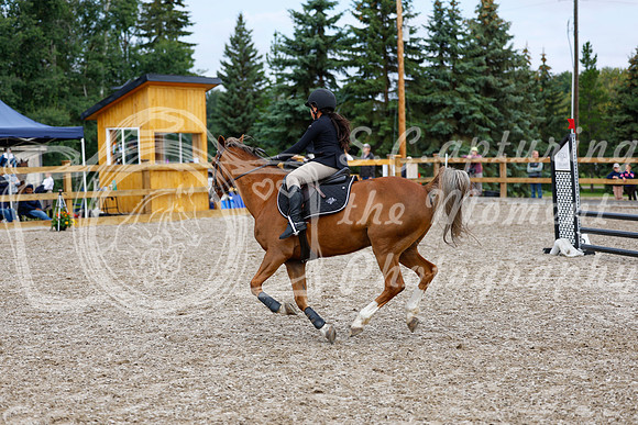 2025 - Haylee - Picco Horse Show - Saturday July 26th 02393